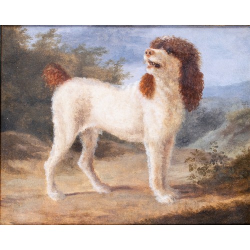 361 - Jacques-Laurent Agasse (Geneva 1767-1849 London)A Water SpanielOil on boardWith label verso, 'Je dec... 