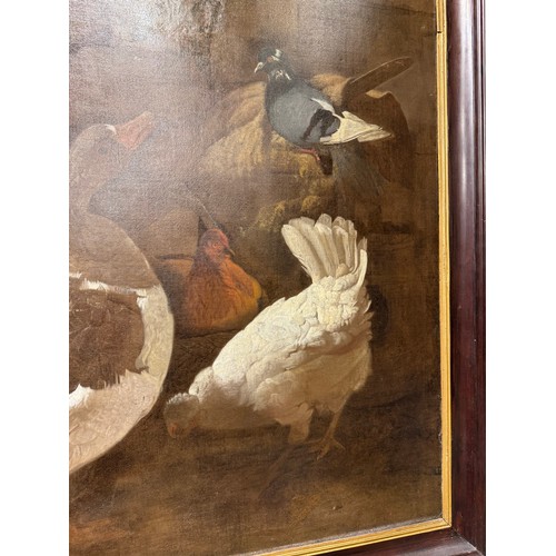 345 - Jacobus Victor (Dutch, 1640-1705)Goose and fowl in a farmyardOil on canvasProperty of a gentlemanDim... 