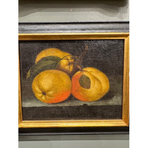 340 - German School17th CenturyA pair of still lives, one of quinces, the other of apples Oil on canvasDim... 