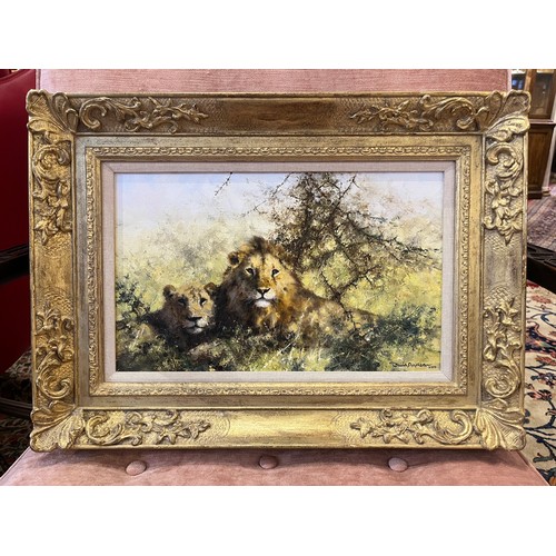 445 - David Shepherd (British 1931-2017)Two Lions2000Oil on canvasSigned and dated 'David Shepherd 2000' l... 