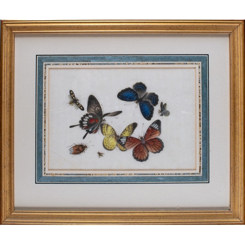 364 - Chinese schoolCirca 1840Nine studies of flowers and mothsdecoupage, watercolour, silk on rice paperF... 