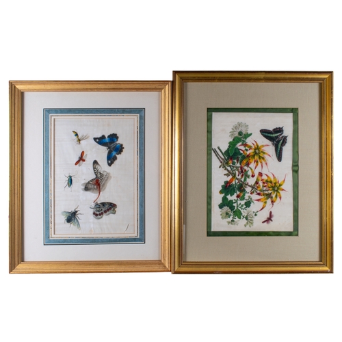 364 - Chinese schoolCirca 1840Nine studies of flowers and mothsdecoupage, watercolour, silk on rice paperF... 