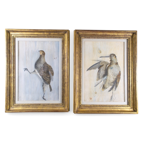 368 - German school19th centuryA pair of trompe l'oeil of dead birdsOne woodcock, one partridge Water... 