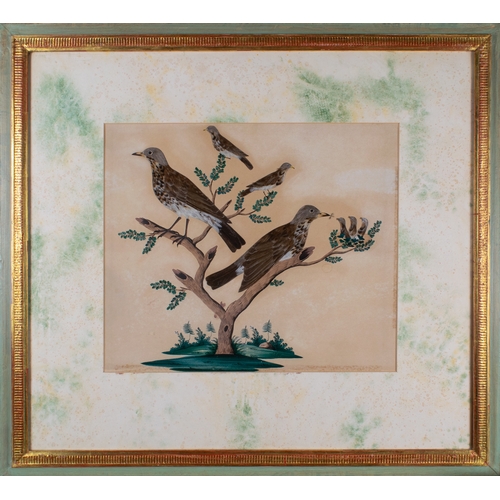 370 - Wilhelm Kiebitz (Danish, d. 1869)Three scenes of birds in a treeFeather and watercolour on paper&nbs... 