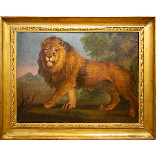 403 - Martin Ferdinand Quadal (Austrian, 1736-1811)A LionOil on canvasDimensions:(Frame) 39 in (H) x 49 in... 