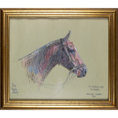 443 - Enrique Castro (Argentinean, b.1938)The Polo PonyPencil and pastel on paper Inscribed lower lef... 