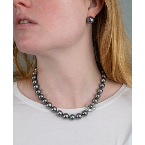 66 - Tahitian black cultured pearls, in a slightly graduated row of thirty-seven 10mm to 12mm pearls, wit... 
