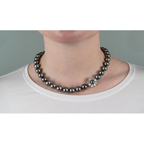 66 - Tahitian black cultured pearls, in a slightly graduated row of thirty-seven 10mm to 12mm pearls, wit... 