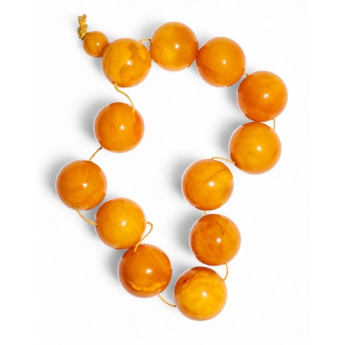 Lot 28        