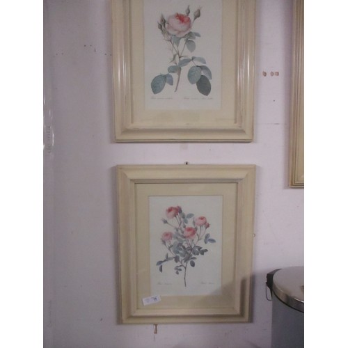 70 - A Pair of Framed and Mounted Floral Prints under Glass