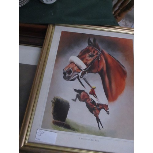 11 - Framed and Mounted Horse Print 