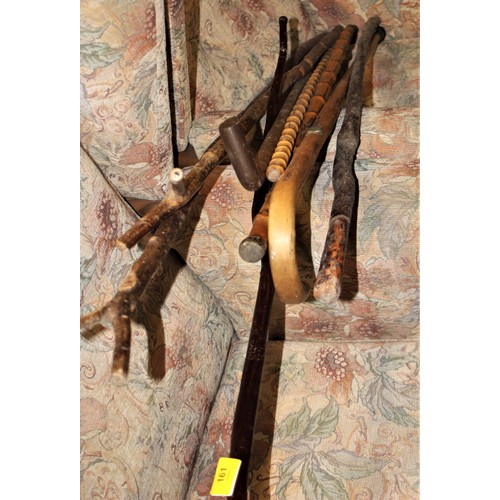 161 - Assorted Walking Sticks