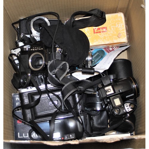 239 - Large Number of Cameras: Nikon, Pentax, etc