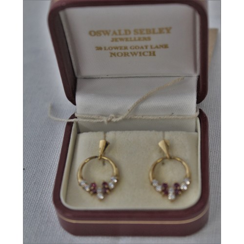 254 - A 9ct Yellow Gold Ten Stone Set of Ruby and CZ Drop Earrings (4 x Rubies and 6 x CZs in each Earring... 