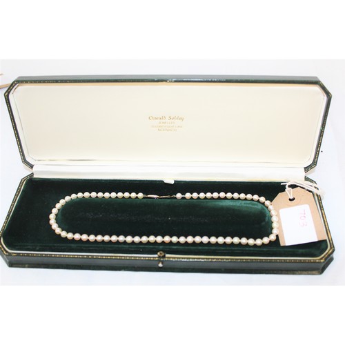 255 - A 16 Inch Cultured Pearl Necklet with 67 Pearls (The Pearl Size is 5 mm x 5.5 mm) with a Gold Clasp ... 