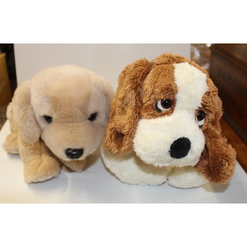 7 - Two Tye Beanie Puppies: Blenheim Cavalier King Charles paniel and and Golden Labrador