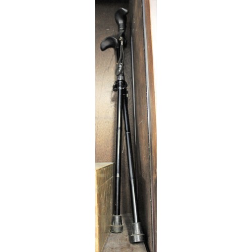 103 - Two Modern Walking Sticks