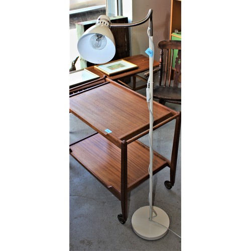 227 - Modern Floor Lamp having Adjustable Neck