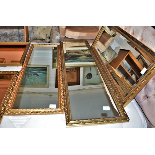 231 - Three Slim-Line Hall Mirrors having Ornate Gilt Frames (One is Bevel Edged) - approx Heights 49