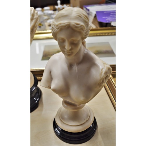 117 - A Resin Bust of Venus di Milo on a Black Plinth (Total Height 11