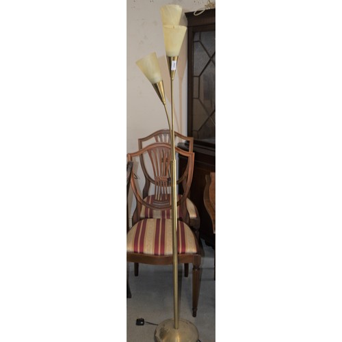 Lot 65        