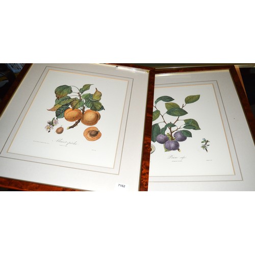 59 - Pair of Framed and Mounted (Under Glass) Nature Study (Bouquet Sculp) Prints:  