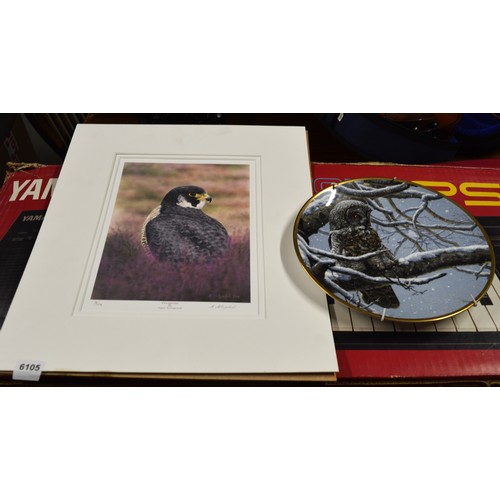 50 - Unframed Limited Edition (18/150) Print of a Peregrine by Nigel Artingstall 2004, Plus a Spode Wall-... 