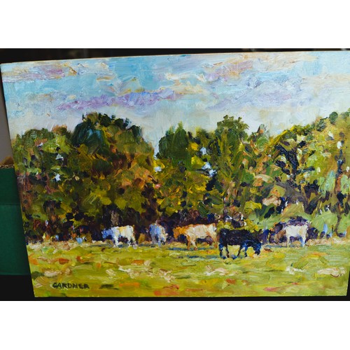 Lot 56        