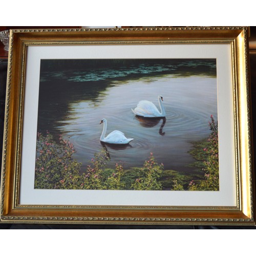 143 - Gilt Framed Print of Lakeside Swans