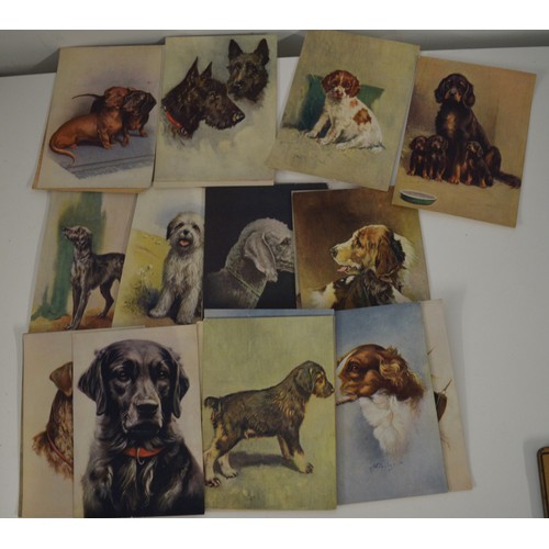12 - Set Set of 27 Canine Postcards (set of 30) produced by  De Reske Cigarettes (Germany)