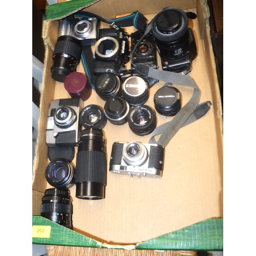 262 - Selection of Film and Digital Cameras