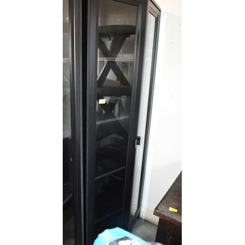 202 - Ebonized Wood Cabinet having Glazed, Angular-Set Doors, and Five Shelves