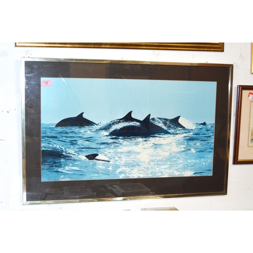 Lot 23        