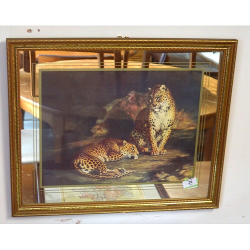 Lot 26        