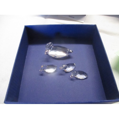 38 - Boxed Swarovski Mother Duck and Ducklings(VGC)