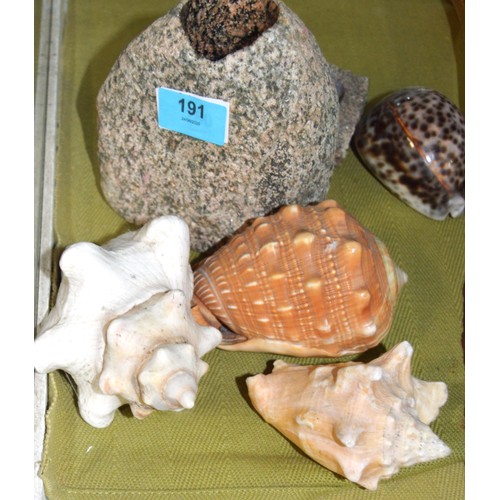 Four Medium Sized Sea Shells plus a Granite Cable Holder and Granite ...