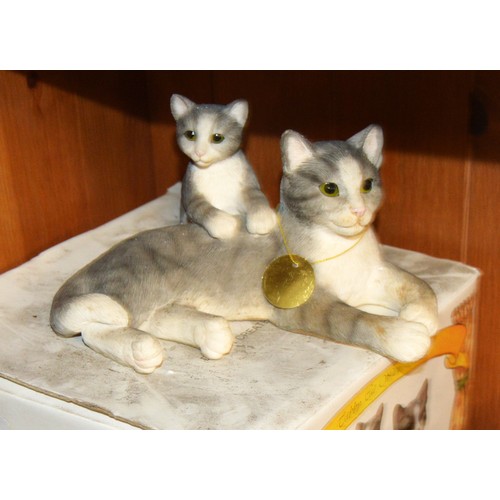23 - Boxed Leonardo Collection Cat and Kitten