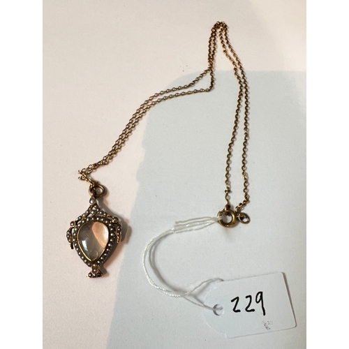 Lot 229       