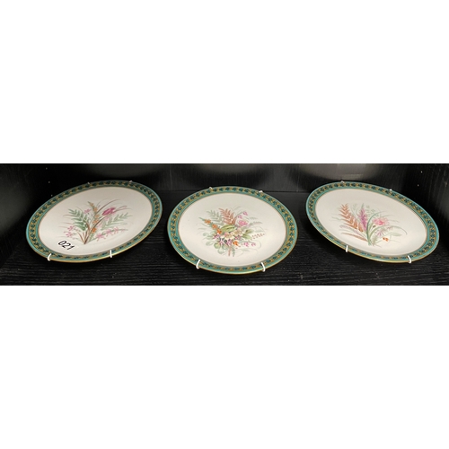 21 - Three hand painted plates