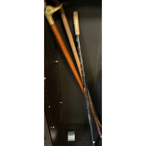 42 - Three walking stick