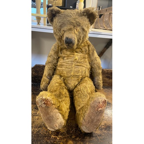 4 - Early teddy bear