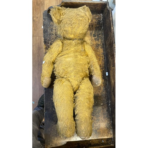 4 - Early teddy bear