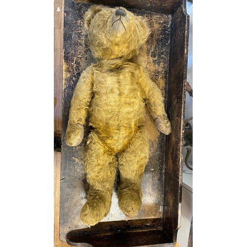 4 - Early teddy bear