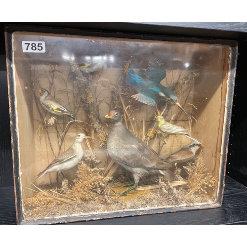 785 - Victorian Taxidermy study of birds set in box with glass front
