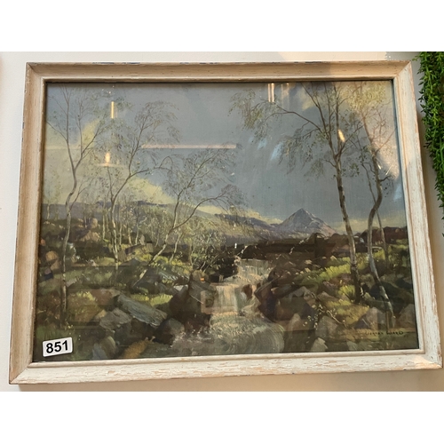 Lot 851       