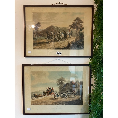 Lot 856       