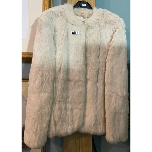 Lot 881       