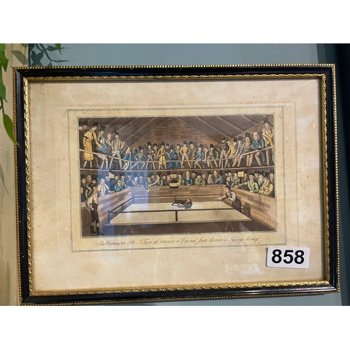 Lot 858       