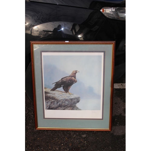 83 - LIMITED EDITION PRINT THE EAGLE EYE BY SPENCER HODGE No 195
65CM X 76CM