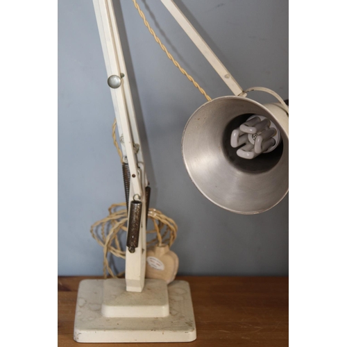 100 - HERBERT TERRY ANGLEPOISE 
70CM